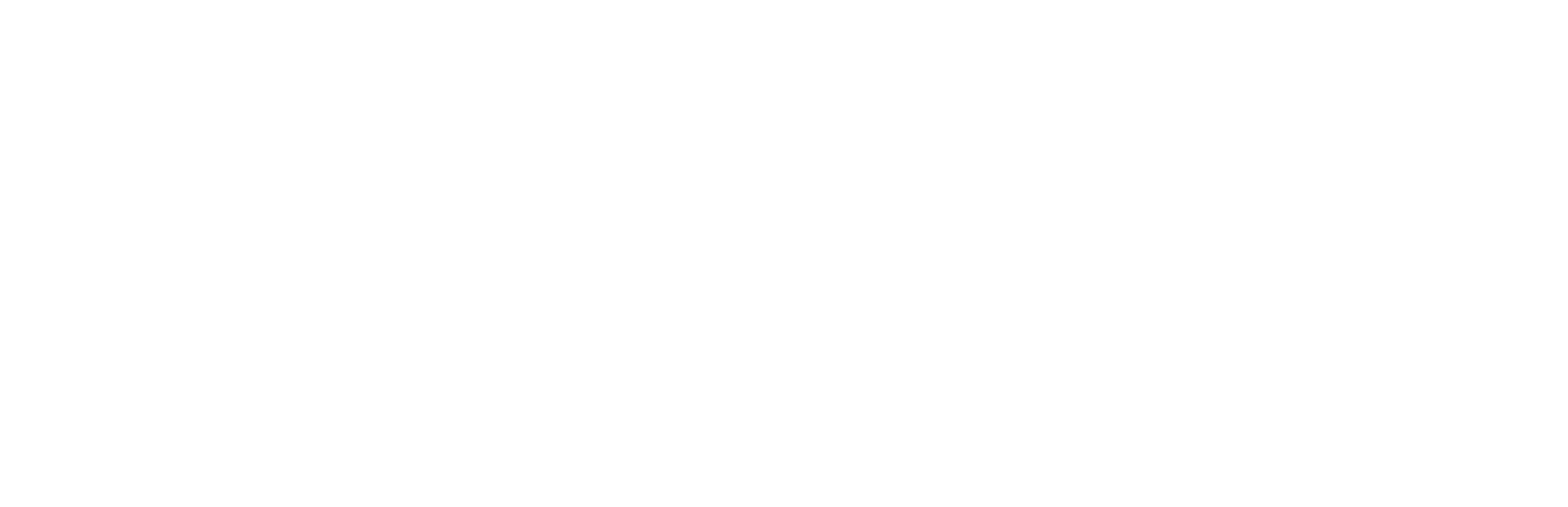 Cleanerwise Cleaning Services Logo
